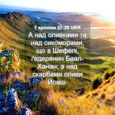 Picture 04 - 1 хроніки 27:28 UKR - А над оливками та над - Bible Verse Picture