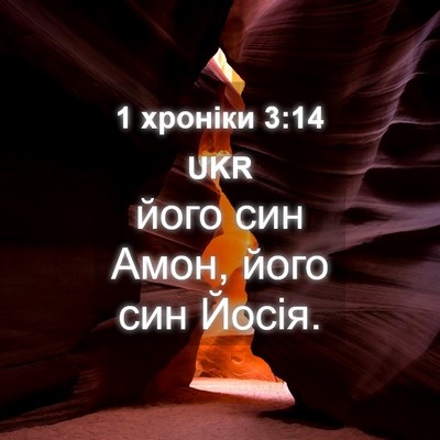Picture 04 - 1 хроніки 3:14 UKR - його син Амон, його син - Bible Verse Picture