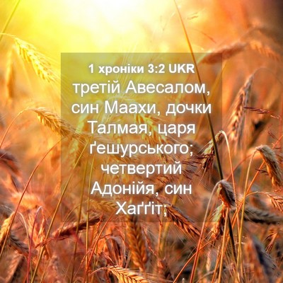 Picture 04 - 1 хроніки 3:2 UKR - третій Авесалом, син Маахи, - Bible Verse Picture