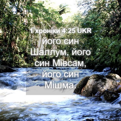 Picture 04 - 1 хроніки 4:25 UKR - його син Шаллум, його син - Bible Verse Picture