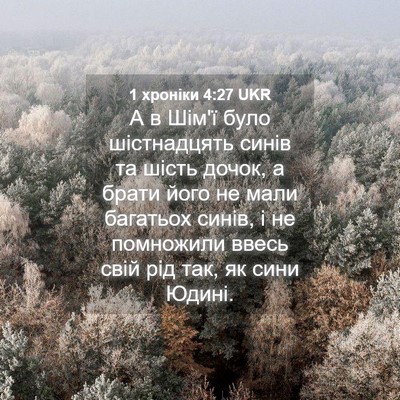 Picture 04 - 1 хроніки 4:27 UKR - А в Шім'ї було шістнадцять - Bible Verse Picture