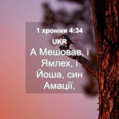 Picture 04 - 1 хроніки 4:34 UKR - А Мешовав, і Ямлех, і Йоша, - Bible Verse Picture