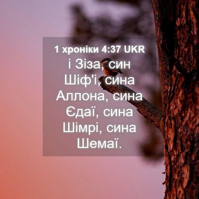 Picture 04 - 1 хроніки 4:37 UKR - і Зіза, син Шіф'і, сина - Bible Verse Picture