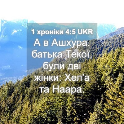 Picture 04 - 1 хроніки 4:5 UKR - А в Ашхура, батька Текої, - Bible Verse Picture