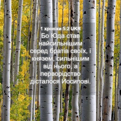 Picture 04 - 1 хроніки 5:2 UKR - Бо Юда став найсильнішим - Bible Verse Picture