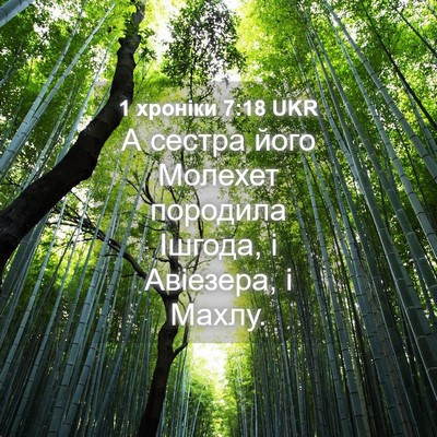 Picture 04 - 1 хроніки 7:18 UKR - А сестра його Молехет - Bible Verse Picture