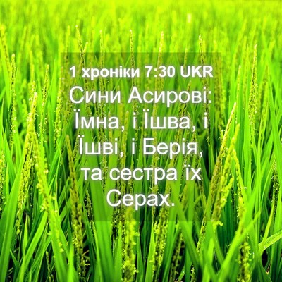 Picture 04 - 1 хроніки 7:30 UKR - Сини Асирові: Їмна, і Їшва, - Bible Verse Picture