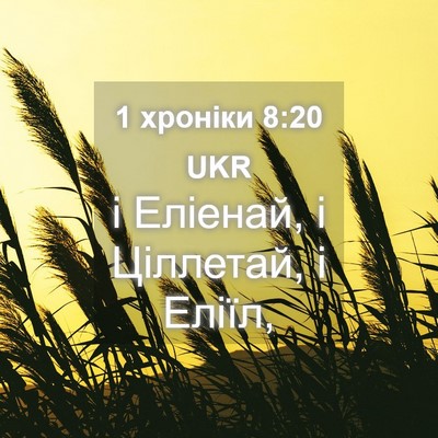 Picture 04 - 1 хроніки 8:20 UKR - і Еліенай, і Ціллетай, і - Bible Verse Picture