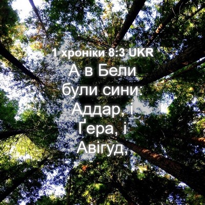 Picture 04 - 1 хроніки 8:3 UKR - А в Бели були сини: Аддар, і - Bible Verse Picture