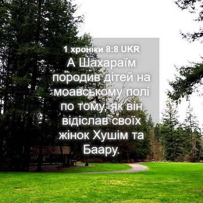 Picture 04 - 1 хроніки 8:8 UKR - А Шахараїм породив дітей - Bible Verse Picture