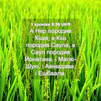 Picture 04 - 1 хроніки 9:39 UKR - А Нер породив Кіша, а Кіш - Bible Verse Picture