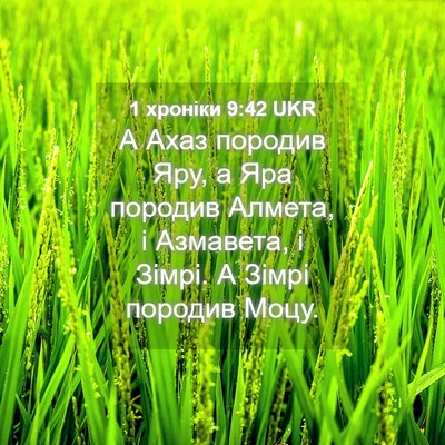 Picture 04 - 1 хроніки 9:42 UKR - А Ахаз породив Яру, а Яра - Bible Verse Picture