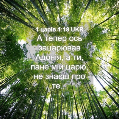 Picture 04 - 1 царів 1:18 UKR - А тепер ось зацарював - Bible Verse Picture