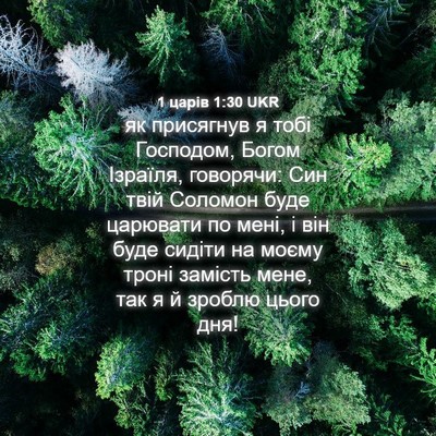 Picture 04 - 1 царів 1:30 UKR - як присягнув я тобі - Bible Verse Picture
