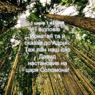Picture 04 - 1 царів 1:43 UKR - І відповів Йонатан та й - Bible Verse Picture
