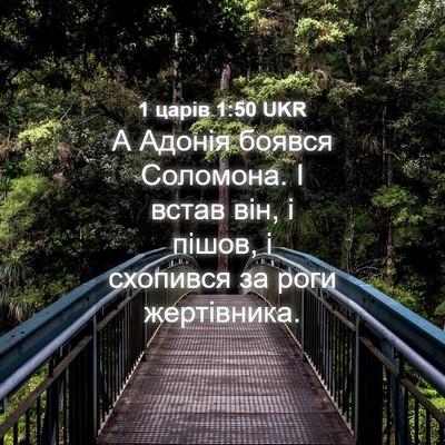 Picture 04 - 1 царів 1:50 UKR - А Адонія боявся Соломона. І - Bible Verse Picture