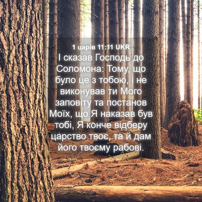 Picture 04 - 1 царів 11:11 UKR - І сказав Господь до - Bible Verse Picture