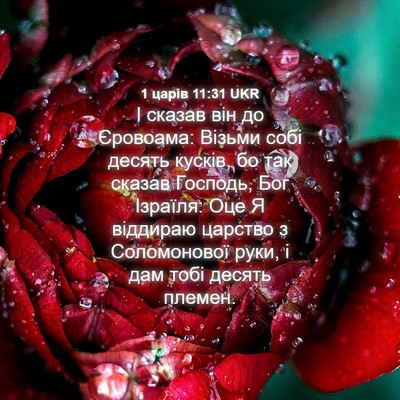 Picture 04 - 1 царів 11:31 UKR - І сказав він до Єровоама: - Bible Verse Picture