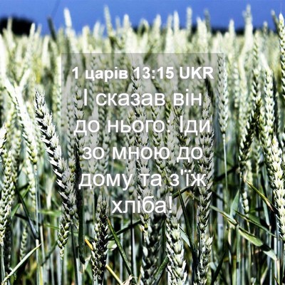 Picture 04 - 1 царів 13:15 UKR - І сказав він до нього: Іди - Bible Verse Picture