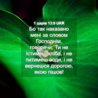 Picture 04 - 1 царів 13:9 UKR - Бо так наказано мені за - Bible Verse Picture