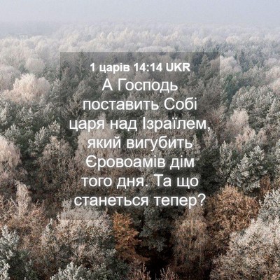 Picture 04 - 1 царів 14:14 UKR - А Господь поставить Собі - Bible Verse Picture