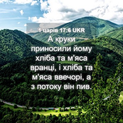Picture 04 - 1 царів 17:6 UKR - А круки приносили йому - Bible Verse Picture