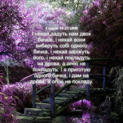 Picture 04 - 1 царів 18:23 UKR - І нехай дадуть нам двох - Bible Verse Picture