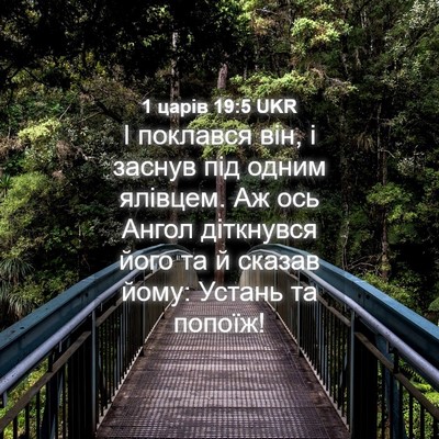 Picture 04 - 1 царів 19:5 UKR - І поклався він, і заснув - Bible Verse Picture
