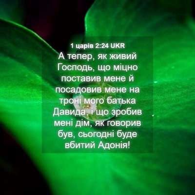 Picture 04 - 1 царів 2:24 UKR - А тепер, як живий Господь, - Bible Verse Picture
