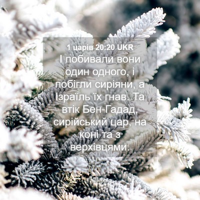 Picture 04 - 1 царів 20:20 UKR - І побивали вони один - Bible Verse Picture