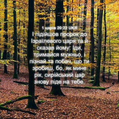 Picture 04 - 1 царів 20:22 UKR - І підійшов пророк до - Bible Verse Picture