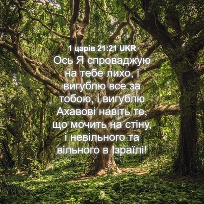 Picture 04 - 1 царів 21:21 UKR - Ось Я спроваджую на тебе - Bible Verse Picture
