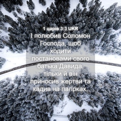 Picture 04 - 1 царів 3:3 UKR - І полюбив Соломон Господа, - Bible Verse Picture