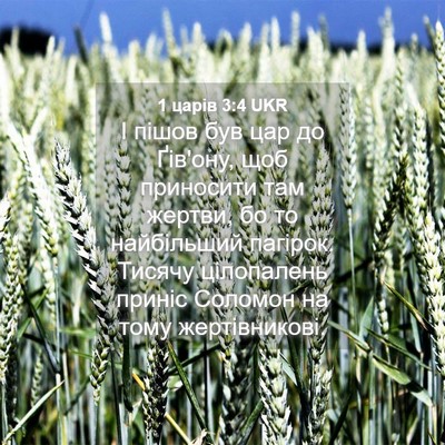 Picture 04 - 1 царів 3:4 UKR - І пішов був цар до Ґів'ону, - Bible Verse Picture