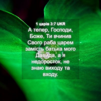 Picture 04 - 1 царів 3:7 UKR - А тепер, Господи, Боже, Ти - Bible Verse Picture