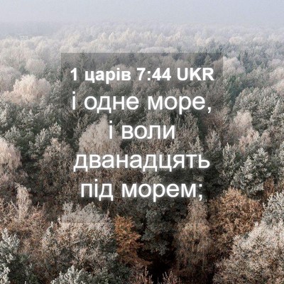Picture 04 - 1 царів 7:44 UKR - і одне море, і воли - Bible Verse Picture