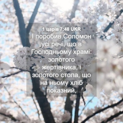 Picture 04 - 1 царів 7:48 UKR - І поробив Соломон усі речі, - Bible Verse Picture