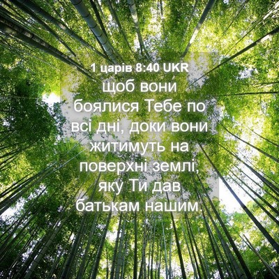 Picture 04 - 1 царів 8:40 UKR - щоб вони боялися Тебе по - Bible Verse Picture