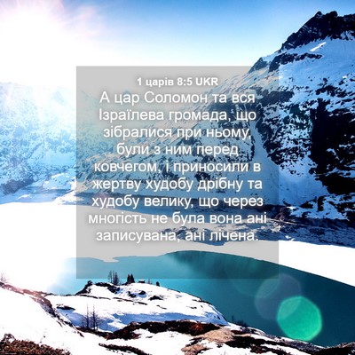 Picture 04 - 1 царів 8:5 UKR - А цар Соломон та вся - Bible Verse Picture
