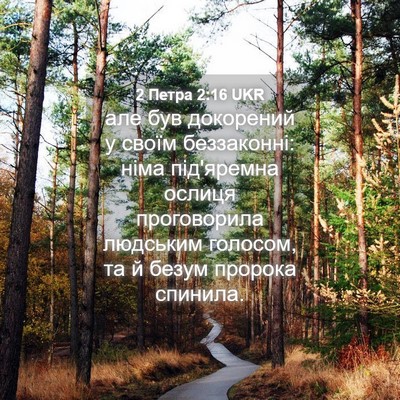Picture 04 - 2 Петра 2:16 UKR - але був докорений у своїм - Bible Verse Picture