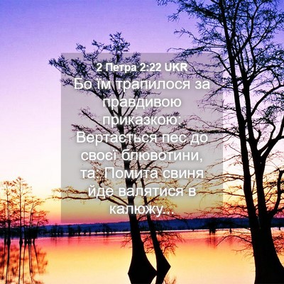 Picture 04 - 2 Петра 2:22 UKR - Бо їм трапилося за - Bible Verse Picture