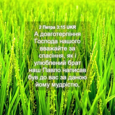 Picture 04 - 2 Петра 3:15 UKR - А довготерпіння Господа - Bible Verse Picture
