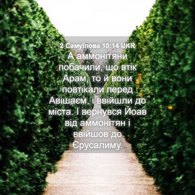 Picture 04 - 2 Самуїлова 10:14 UKR - А аммонітяни побачили, що - Bible Verse Picture