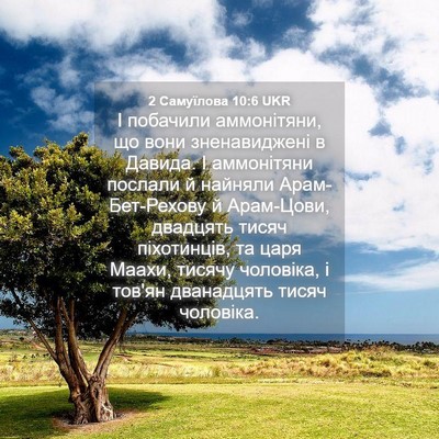 Picture 04 - 2 Самуїлова 10:6 UKR - І побачили аммонітяни, що - Bible Verse Picture