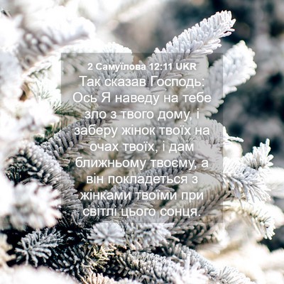 Picture 04 - 2 Самуїлова 12:11 UKR - Так сказав Господь: Ось Я - Bible Verse Picture