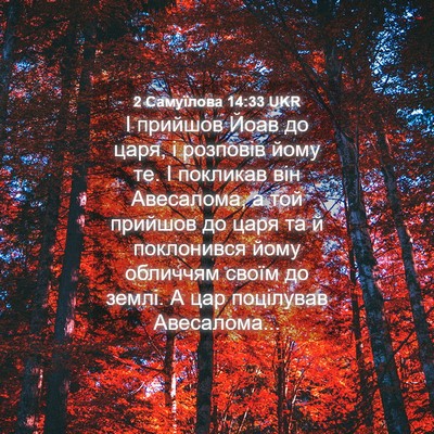 Picture 04 - 2 Самуїлова 14:33 UKR - І прийшов Йоав до царя, і - Bible Verse Picture