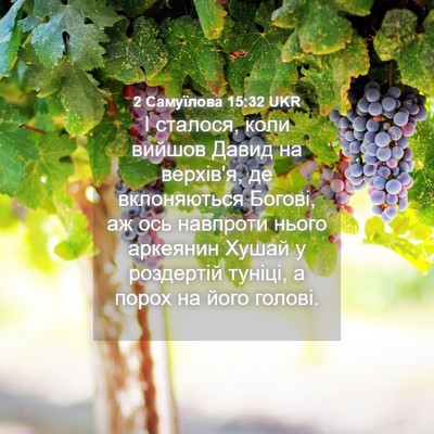 Picture 04 - 2 Самуїлова 15:32 UKR - І сталося, коли вийшов - Bible Verse Picture