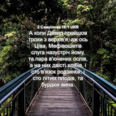 Picture 04 - 2 Самуїлова 16:1 UKR - А коли Давид пройшов трохи - Bible Verse Picture
