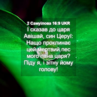 Picture 04 - 2 Самуїлова 16:9 UKR - І сказав до царя Авішай, - Bible Verse Picture