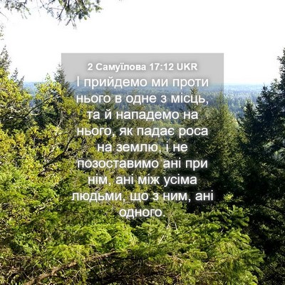Picture 04 - 2 Самуїлова 17:12 UKR - І прийдемо ми проти нього в - Bible Verse Picture